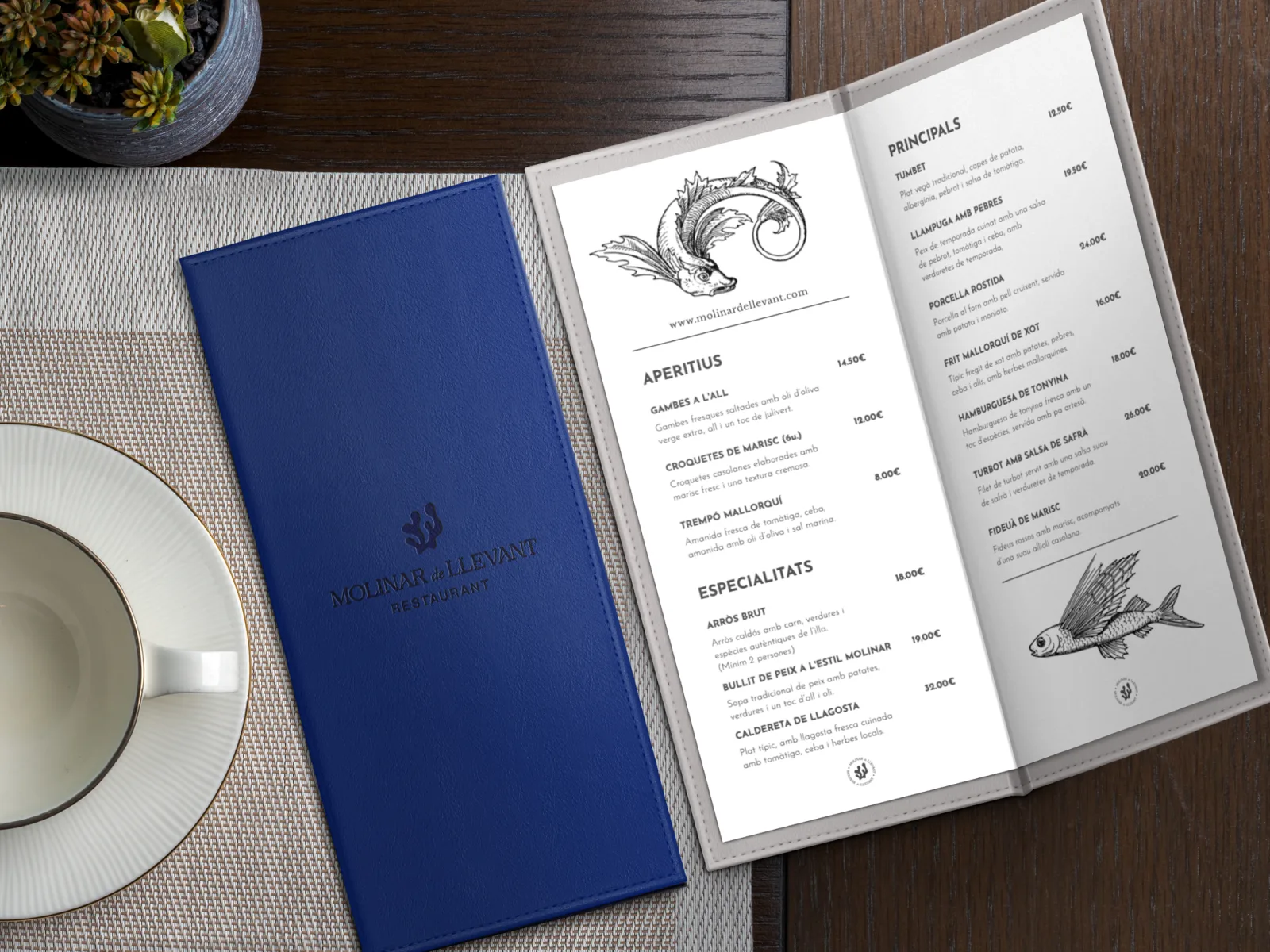 Contacto late diseño Molinar